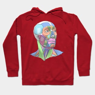 human body anatomy 1 Hoodie